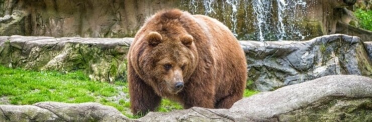 Odkryj NAJ na Słowacji: 9 NAJ ogrodów zoologicznych i botanicznych