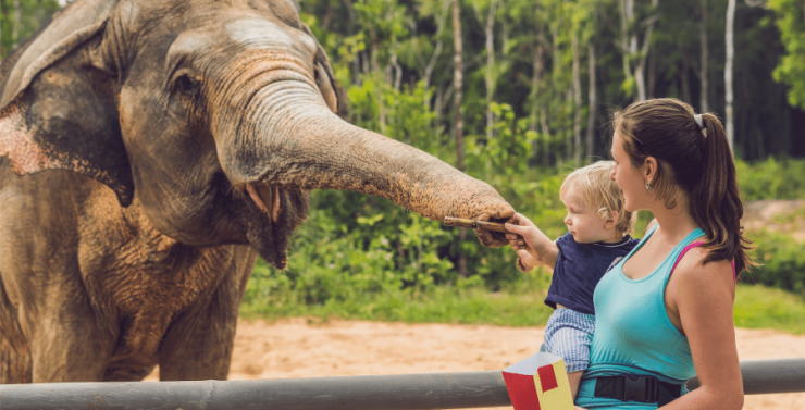 Prodloužený víkend v červenci, aneb zahajte letní sezónu koupání, výletů a zmrzlin