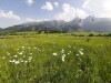 Okolí, Belianské Tatry, Slovensko