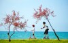 Sport, Aminess Hotel Laguna ***, Novigrad, Chorvatsko