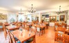 Restaurace, Penzion Pulse Podhájska