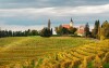 Jeruzalémská vinná stezka, Slovinsko