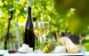 Užijte si dovolenou na Jižní Moravě, v regionu dobrého vína