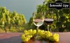 Užite si pobyt na južnej Morave i so skvelým vínom