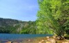 Udělejte si výlet k legendárnímu Černému jezeru