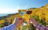 Pohoda, víno a dobrá nálada - to je dovolená na jižní Moravě