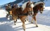 Rakouské Alpy skýtají rozmanité možnosti zábavy