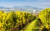 Užite si pobyt vo vinárskej republike Kraví Hora