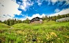 Hotel Alpen Arnika *** sa nachádza uprostred krásnej prírody