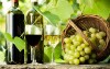 Ochutnáte najlepšie moravské vína