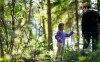 Spolu s dětmi můžete zavítat do okolních lesů