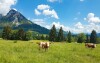 Užite si krásnu rakúsku prírodu