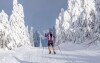 Užijte si parádní zimu v Německu v blízkosti skiareálu