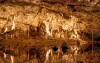 Navštivte Moravský kras a jeho jeskyně