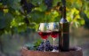 Dopřejte si pobyt s degustací místního vína, Penzion Zaječák