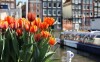 Amsterdam a kvetinový park Keukenhof: poznávací, jarný zájazd na 4 dni