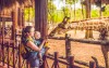Blízko penzionu najdete Zoo Dvůr Králové