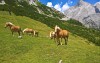 Zažijte skvělé léto v Rakousku v Alpách