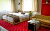 Komfortná izba, Penzión Zubr, Vysočina