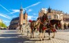 V historickom centre Krakova bežne stretnete aj koňov