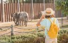 Užijte si vstup do Zoo Zlín-Lešná