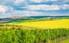 Pobyt s vínom, Penzión V Zahraničí, Bořetice