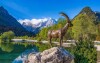 Krásná příroda ve Slovinsku, Národní park Triglav