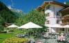 Hotel nájdete v krásnom prostredí Zillertalských Álp