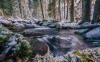 Národný park Šumava a okolie