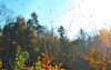 Karpatská příroda je i během podzimu okouzlující