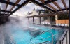 Termálny bazén, Hotel Sen ****, Senohraby