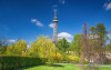 Petřín láká nejen výhledem na celou Prahu, ale také krásným parkem