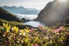 Tirol, Ausztria
