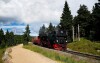 Pohoří Harz, Německo