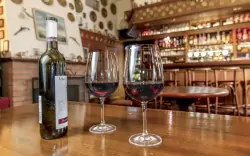 Bar, víno, Hotel Drnholec ***, jižní Morava