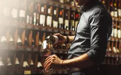 Jižní Morava u Znojma a rakouských hranic: Penzion Šatovské Lípy se snídaní či polopenzí a degustací + drink