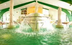 Bajorországi pihenés a Hotel Resort Birkenhof ***-ban, félpanzióval és termál wellnessel