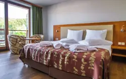 Štandardná izba bez balkóna, Hotel Bioterme, Slovinsko