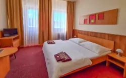 Pokoj v Hotelu Renospond, Vysočina