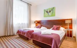 Standard kétágyas szoba, Boutique Eco Hotel Sasanka