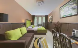 Studio Superior, Park Hotel Bükfürdő **** 