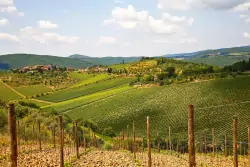 Chianti borvidék