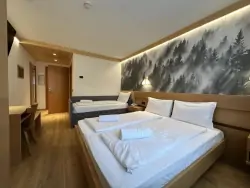 Hotelová izba, Active Hotel Gran Zebru' ***, Cogolo di Peio (TN), Taliansko
