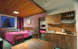 Izby, Hotel Tetřeví Boudy ***, Dolní Dvůr, Česko