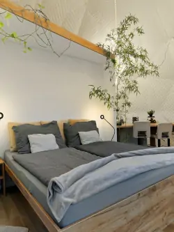 Pokoj s postelí, Villa Wisdome, Farád, Maďarsko