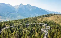 Belianské Tatry u Chodníku korunami stromů v Penzionu Šilon se snídaní + slevy do wellness a aquaparků