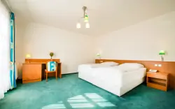 Izba, Hotel Dvořák ****, České Budejovice