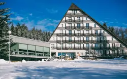 Vysočina u CHKO Žďárské vrchy a Vysočina Areny v Hotelu SKI *** se vstupem do wellness centra a polopenzí