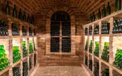 Vinný sklípek, Mikulov Inn – Hotel Venuše ***