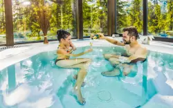 Wellness, Wellness Hotel Patria ****, Magas-Tátra